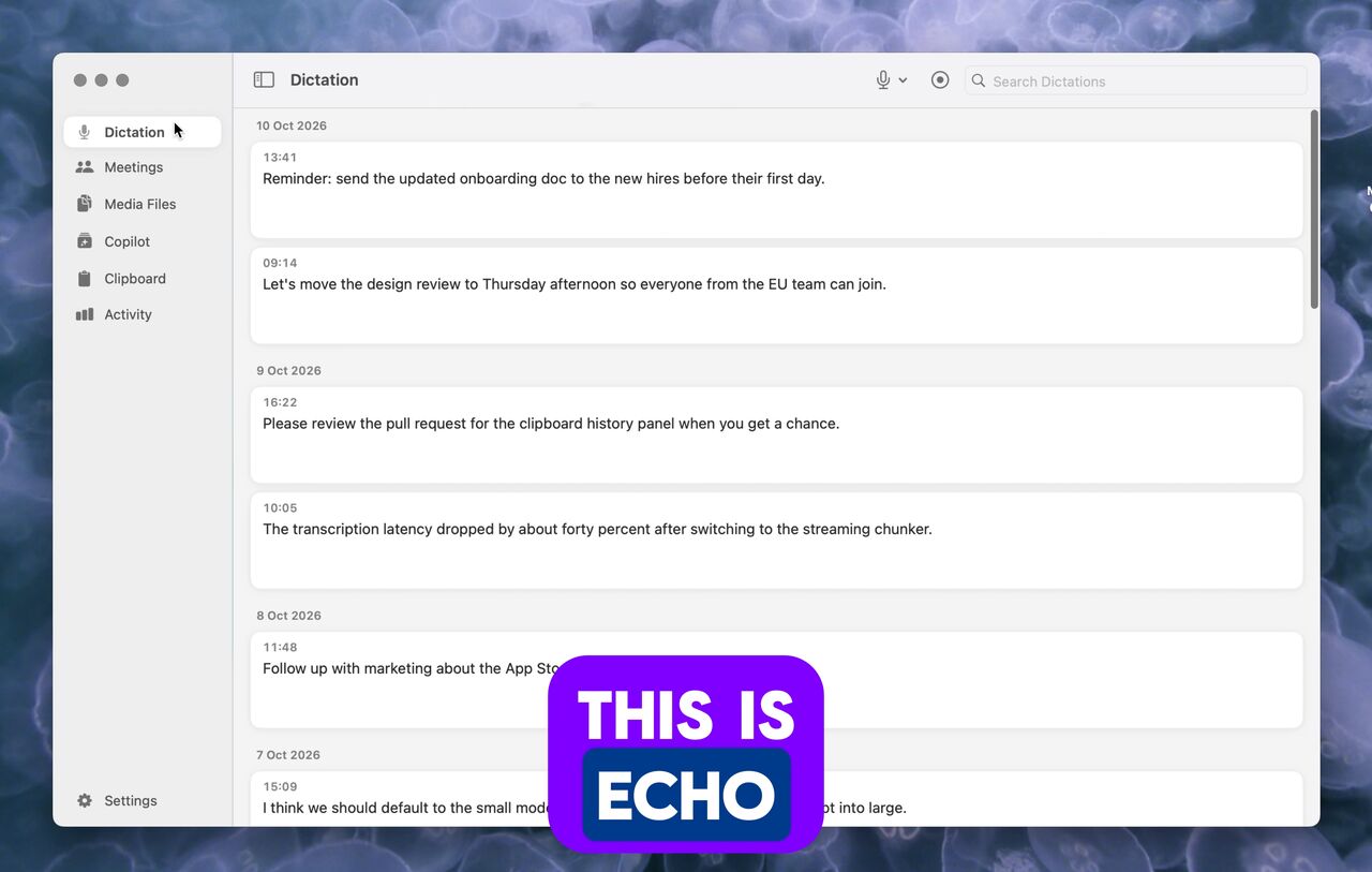 Echo demo video