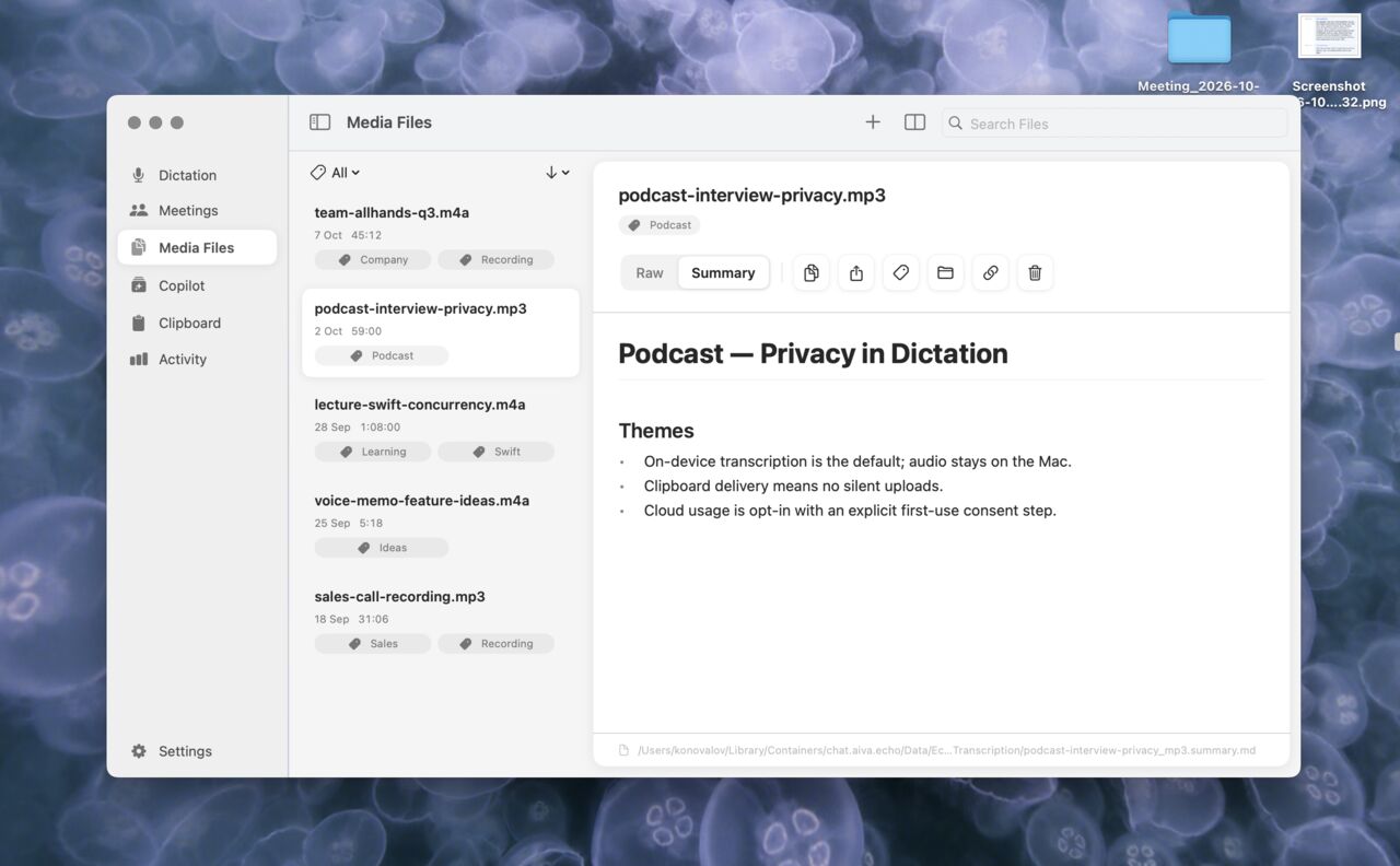 Echo Media Files window showing a podcast summary